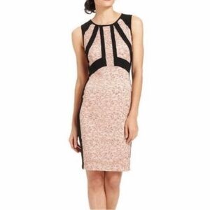 Ivanka Trump Dress size 2